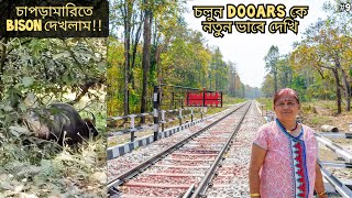 Dooars Tour  Chapramari Rail Crossing Dhupjhora  Jaldapara to Lataguri Batabari Tourism Property [upl. by Yerfdog437]