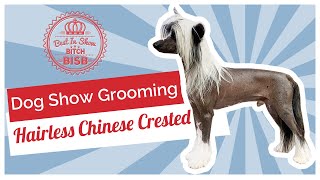 Dog Show Grooming How To Groom a Hairless Chinese Crested [upl. by Emmy]