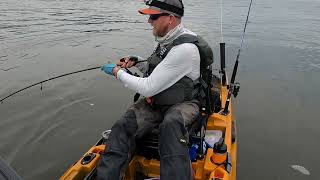 Kayak Fishing Tidal Rivers and Estuaries for Striped Bass  Old Town Sportsman [upl. by Attegroeg]