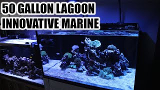 INNOVATIVE MARINE 50 GALLON LAGOON REVIEW AND OVERVIEW 2020 [upl. by Cline]