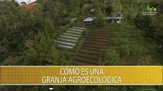 Como es una granja agroecologica  TvAgro por Juan Gonzalo Angel Restrepo [upl. by Michi639]