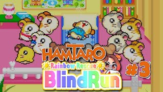 Hamtaro Rainbow Rescue  3 [upl. by Ajssatan]