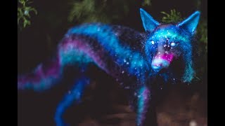 DIY Galaxy Wolf Art Doll Tutorial [upl. by Jehius]