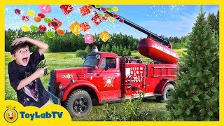 Giant Surprise Maze Game Family Fun Christmas Tree Farm amp Outdoor Holiday Park with Kids Activities [upl. by Jehu109]