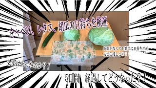 結果発表！キャベツ、レタス、胡瓜保存方法 青果仲卸綜合青果 ひろちゃんねるが詳しくお見せします！ [upl. by Henghold]