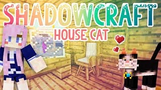 House Cat  Shadowcraft 20  Ep10 [upl. by Vernice307]