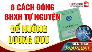 6 Cách Đóng BHXH Tự Nguyện Để Hưởng Lương Hưu  LuatVietnam [upl. by Ilecara]