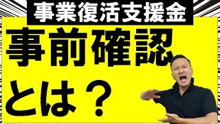 事業復活支援金の事前確認とは？ [upl. by Benito]