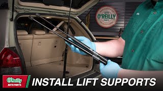 How To Install Tailgate Lift Supports On Your Vehicle [upl. by Ruel]