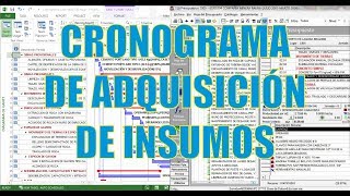 Cronograma Valorizado de Insumos con S10 y Project 2016 [upl. by Osrick]