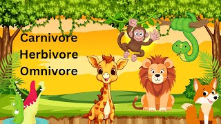 Carnivore herbivore omnivore Animals [upl. by Asirb]