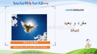 008 أسماء الاشارة Demonstratives فى اللغة الانجليزية [upl. by Adriaens]