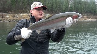 Clearwater River Idaho Steelhead Fishing Side drifting amp back trolling [upl. by Elyad]