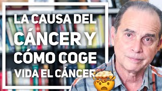 Combatir el cáncer desde adentro  Visión futuro [upl. by Ecidnarb]