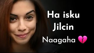 Shukaansiga Gabdhaha Wax Ka Ogoow  Jacayl [upl. by Benisch]