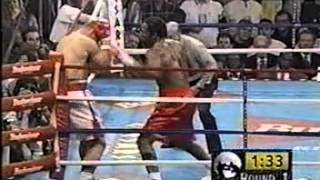 Lennox Lewis vs Andrew Golota [upl. by Alika]