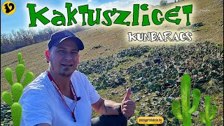 🇭🇺 Kaktuszliget Kunbaracsnál 4K 🌵 [upl. by Bernj]