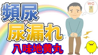 頻尿や尿漏れの原因と解消のための漢方薬・八味地黄丸【温めて引き締める】 [upl. by Nwahser328]