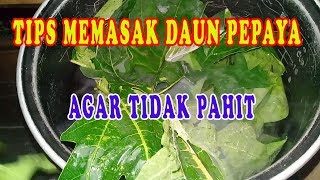 TIPS MEMASAK DAUN PEPAYA AGAR TIDAK PAHIT  CARA MUDAH MENGHILANGKAN RASA PAHIT PADA DAUN PEPAYA [upl. by Leirad]