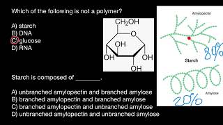 Starch Amylopectin and Amylose [upl. by Schilit807]