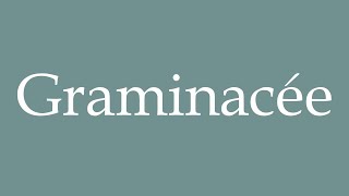 How to Pronounce Graminacée Graminaceae Correctly in French [upl. by Mcnalley]