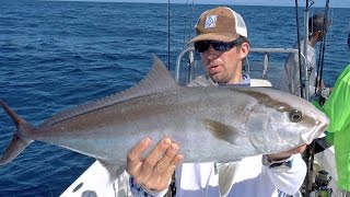 Epic Topwater Amberjacks and Huge Bull Sharks [upl. by Ecylahs]