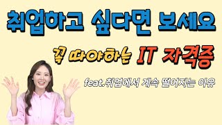 취업하고 시다면 보세요 꼭 따야하는 IT 자격증 알려드려요 [upl. by Nilved396]