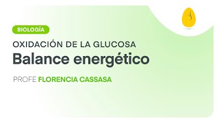 Balance energético  Biología  Oxidación de la glucosa  V7  Egg Educación [upl. by Eanad499]