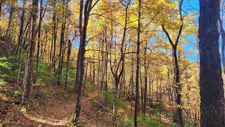 GSMNP  Grapeyard Ridge Tr [upl. by Deyas]