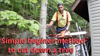 Beginner tips for Tree cutting  felling [upl. by Harri]