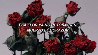 Pedro infante  Flor sin retoño Letra [upl. by Nelaf]