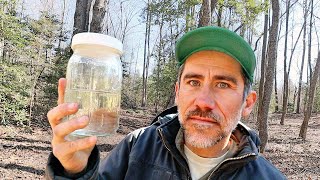 One Month Later Tapping Maple Trees in North Carolina [upl. by Barvick]