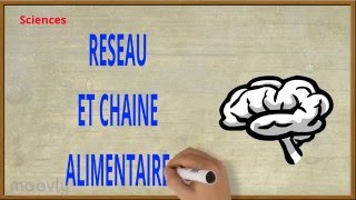 Sciences  Réseau et chaîne alimentaires 2 [upl. by Aihsoem]