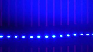 LED Lights Example ColorBright Super Blue LED Flexible Strip [upl. by Aydidey431]