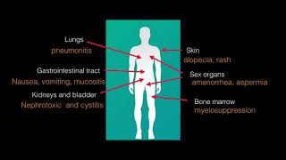 Lecture 3 Platinum Analogues in cancer [upl. by Ameluz109]