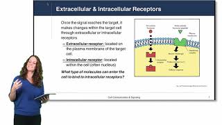 Cell Physiology Cell Signaling [upl. by Balf]