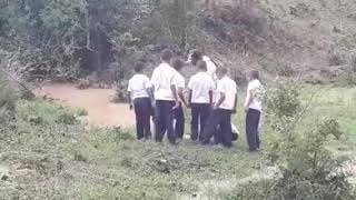 Lluvia de peces en yoro Honduras 1 [upl. by Nazus361]