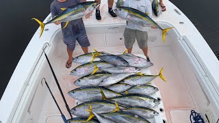 Yellowfin Tuna Slay WE LIMITED OUT Tuna Fishing [upl. by Poliard]