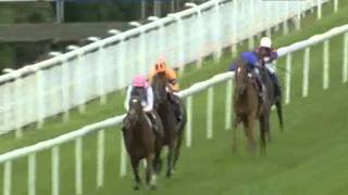 2011 Qipco Sussex Stakes  Frankel vs Canford Cliffs [upl. by Garett]