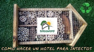 COMO HACER UN HOTEL PARA INSECTOS CASERO [upl. by Ataeb963]