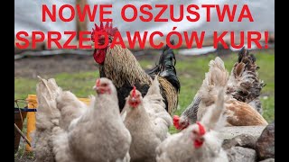 Odcinek 1480 TERAZ HANDLARZE OSZUKUJĄ NA WŁASNE HODOWLE KUR [upl. by Idissak737]