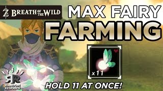 Zelda Breath of the Wild  MAX FAIRY FARMING  Hold 11 Fairies at Once [upl. by Charmaine]