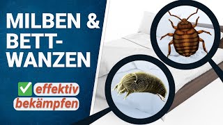 Milben und Bettwanzen bekämpfen [upl. by Pattin]