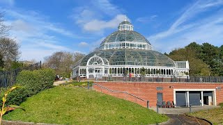 Liverpool  Palm House in Sefton Park [upl. by Nahtannhoj]