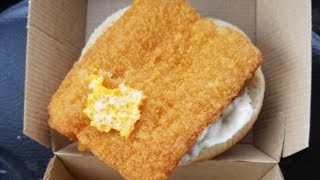 What You Dont Know About McDonalds Famous FiletOFish [upl. by Neneek259]