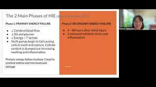 Hypoxic Ischemic Encephalopathy in Critical Care Transport [upl. by Iluj751]