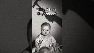 LITTLE ALBERT EXPERIMENT [upl. by Ettennek]