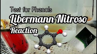 Libermann Nitroso reaction  test for phenols [upl. by Gnep215]