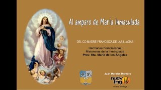 CANCIÓN A LA VIRGEN MARÍA INMACULADA  Juan Morales Montero  Nuevotrigo [upl. by Yelekreb331]