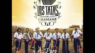 Los Tatas del Chamamé  A Puro Sapucay cd completo [upl. by Ahseral]